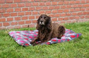 Juunik Madrass Beige med tassar