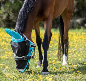 Fine Mesh Flughuva med öron och nos Turkos/Grå