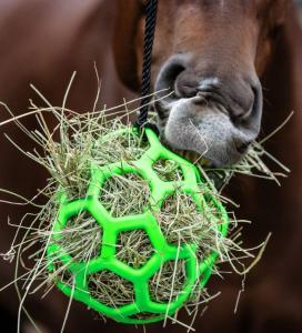 Waldhausen Slow Feed Höboll