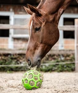 Waldhausen Slow Feed Höboll