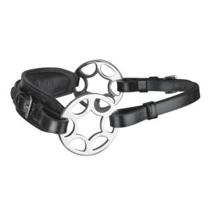 Waldhausen Bettlöst Träns