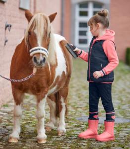 Waldhausen Bootie Vattentät Stövel Rödrosa