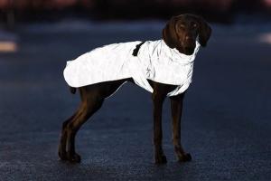 Lunas regntäcke, helreflex