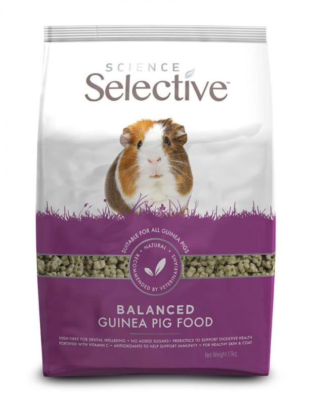 Science Selective Guinea Pig