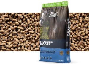 Aveve Muscle Boost 15kg
