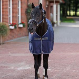 Bucas Show-Line Competition Cooler