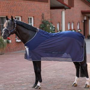 Bucas Show-Line Competition Cooler