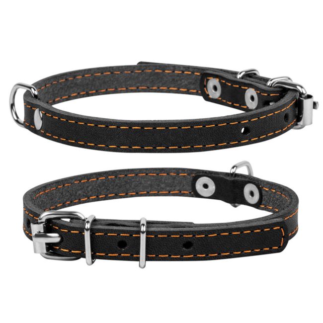 Hundhalsband Läder