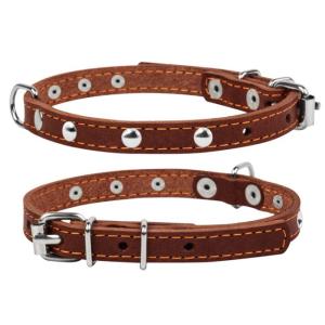 Hundhalsband Läder med Nitar