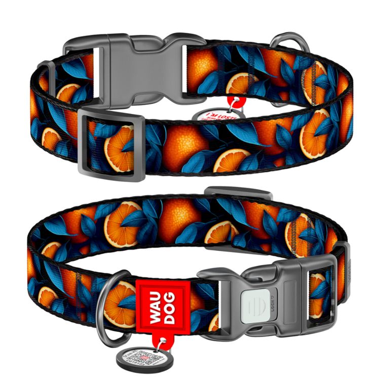 WAUDOG Hundhalsband Nylon Oranges