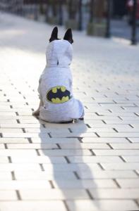 WAUDOG Hundjacka Softshell Batman