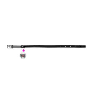 WAUDOG Katthalsband Läder med Smart ID bricka