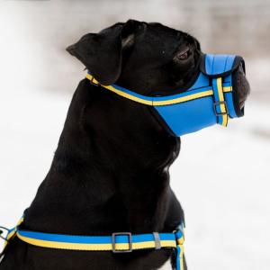 WAUDOG Munkorg Nylon Blågul