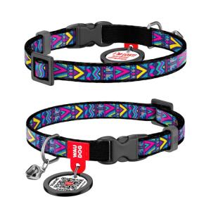 WAUDOG Katthalsband Nylon med Smart ID bricka Indie (10mm 20-30cm)