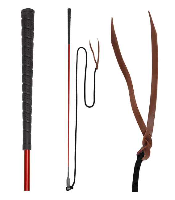 Contact stick Horsemanship