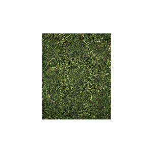 JR Farm Persiljestjälkar 150g