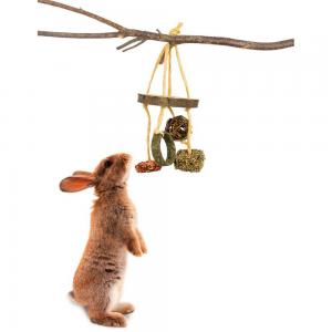 JR Farm Snack Mobil 100g