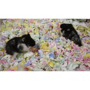 Naturligt pappersströ för Smådjur Mix färg 4.1L 570g