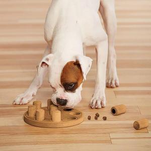 Dog Smart Komposit Orange