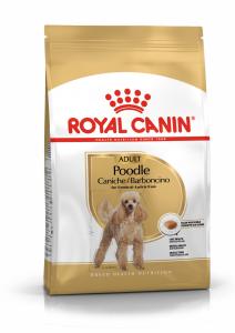 RC Poodle Adult