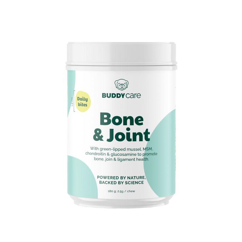 Buddy Bone & Joint