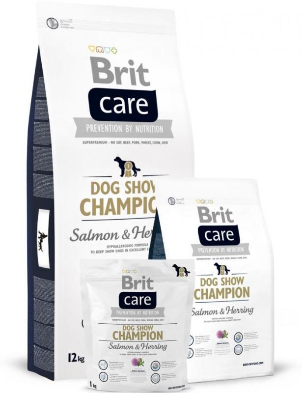 Brit Care Dog Show Champion