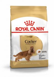 RC Cocker Spaniel Adult