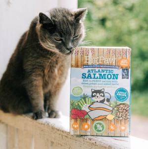 LBP CAT Atlantic Salmon Complete dry food Adult