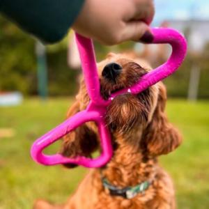 Fiboone Dragkampsleksak