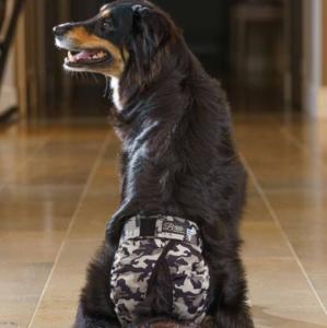 Tikskydd BRENDA Camo