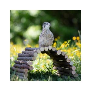 Flexibel Bro i Trä 22x10cm