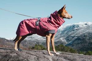 Hurtta Expedition Parka Vintertäcke  Röd  60c.....