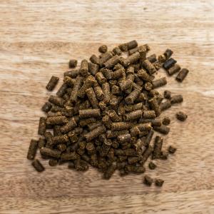 St Hippolyt Gastrointestinal 3kg