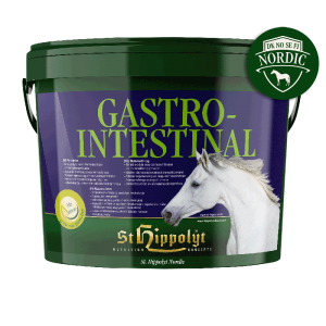 St Hippolyt Gastrointestinal 3kg