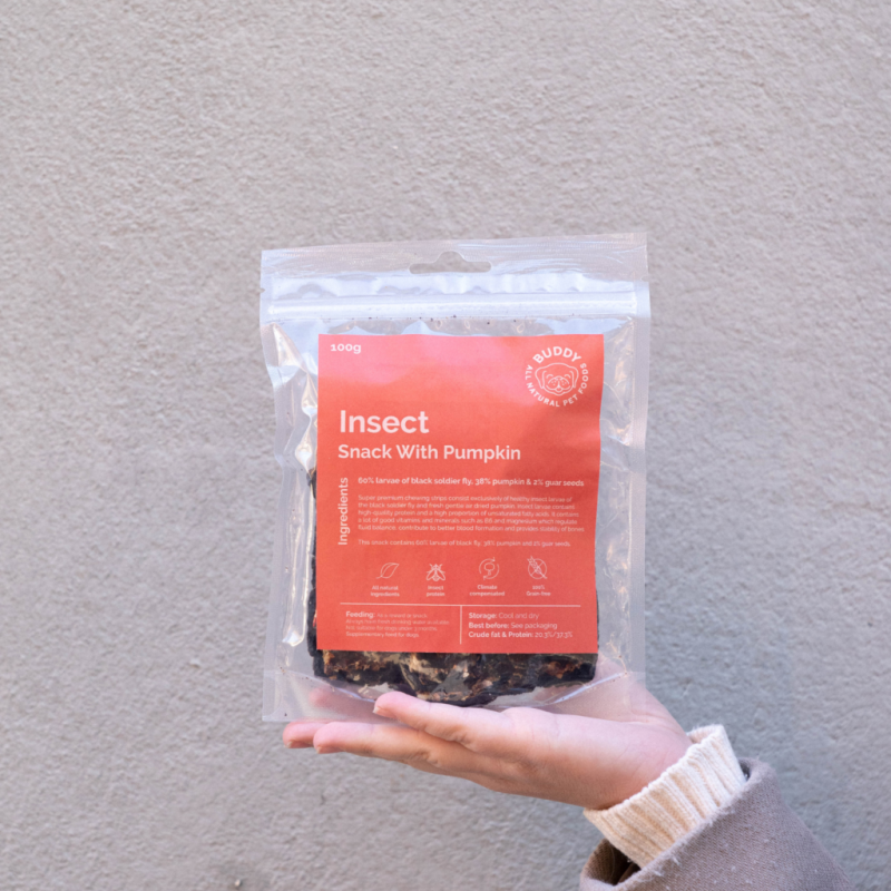 Buddy Insect Snack with Pumpkin 100g