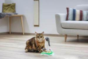 Kattleksak Mus på fjäder 25cm