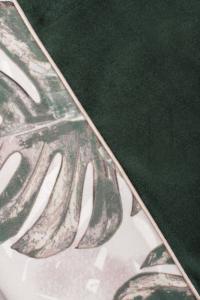 CAZO Hundbädd ONE Original Grön