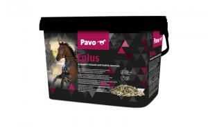 Pavo Eplus 3kg