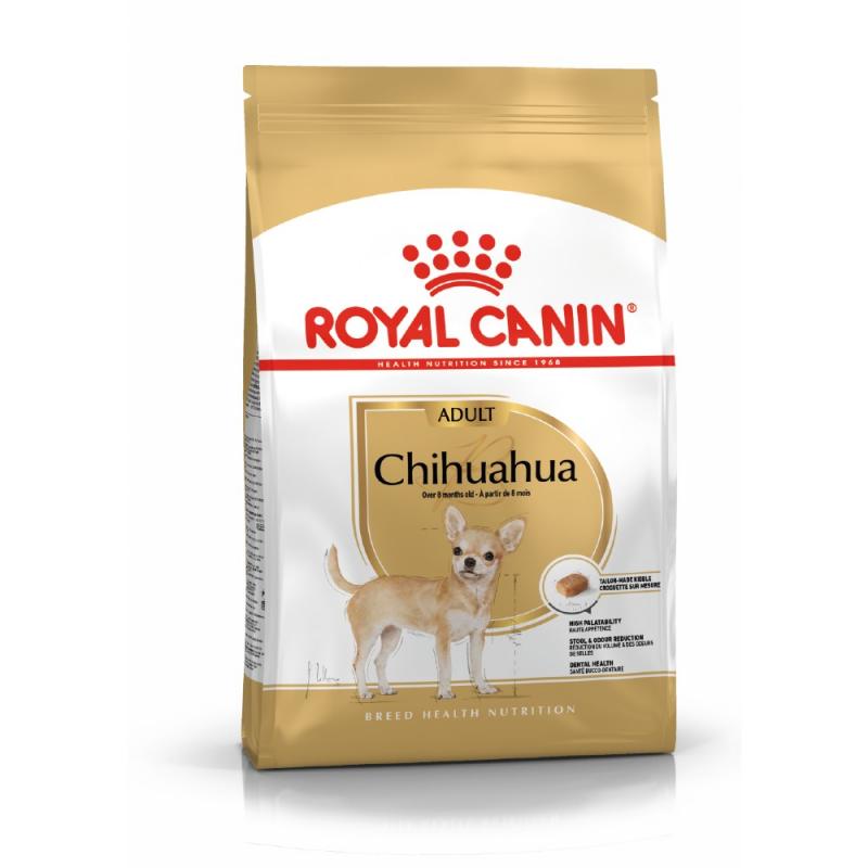 RC Chihuahua Adult