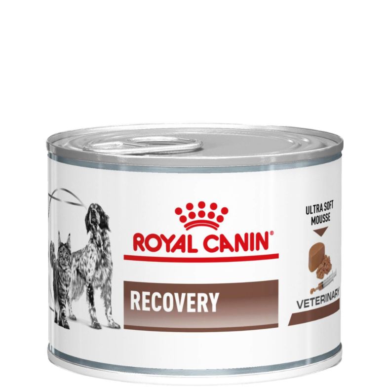 RCV Dog & Cat Recovery wet 195g 12-pack
