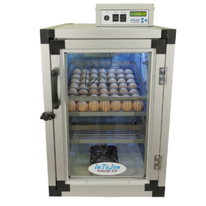 Äggkläckare RoboCipa 100 Automatisk Fukt & Temperaturkontroll