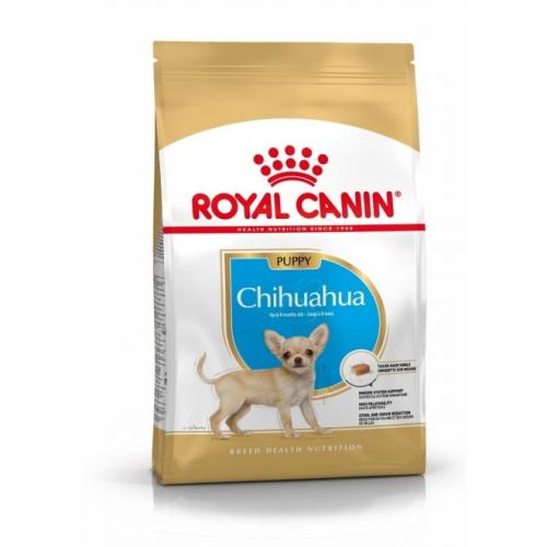 RC Chihuahua Puppy 1,5kg