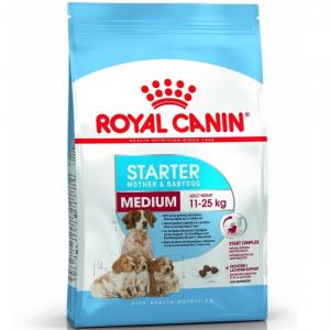 RC Medium Starter Mother & Babydog