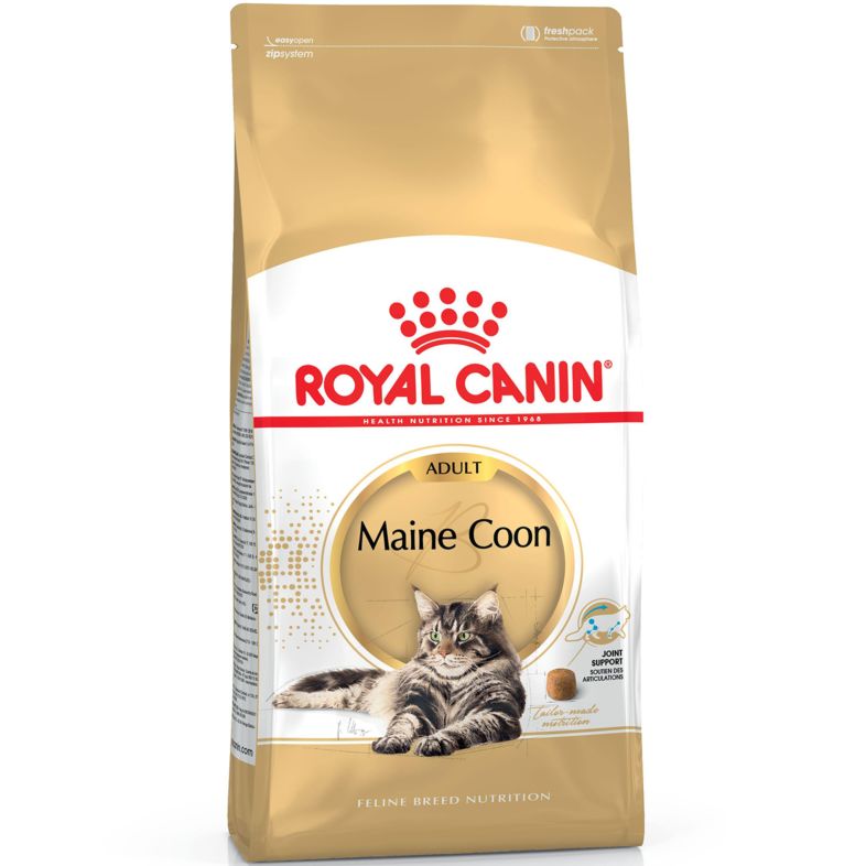 RC Maine Coon Adult