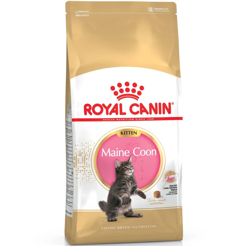 RC Maine Coon Kitten 2kg