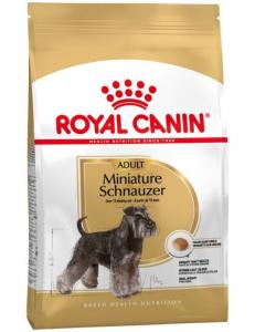 RC Miniature Schnauzer Adult