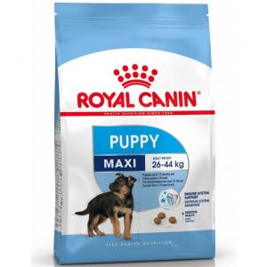 RC Maxi Puppy