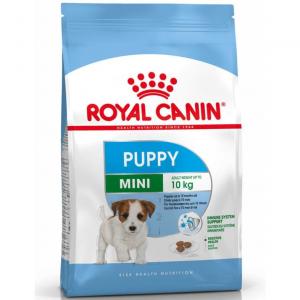 RC Mini Puppy