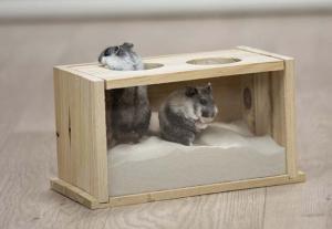 Sandbad för mus/hamster 20x12x12cm