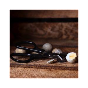 Sax för Vaktelägg Svart